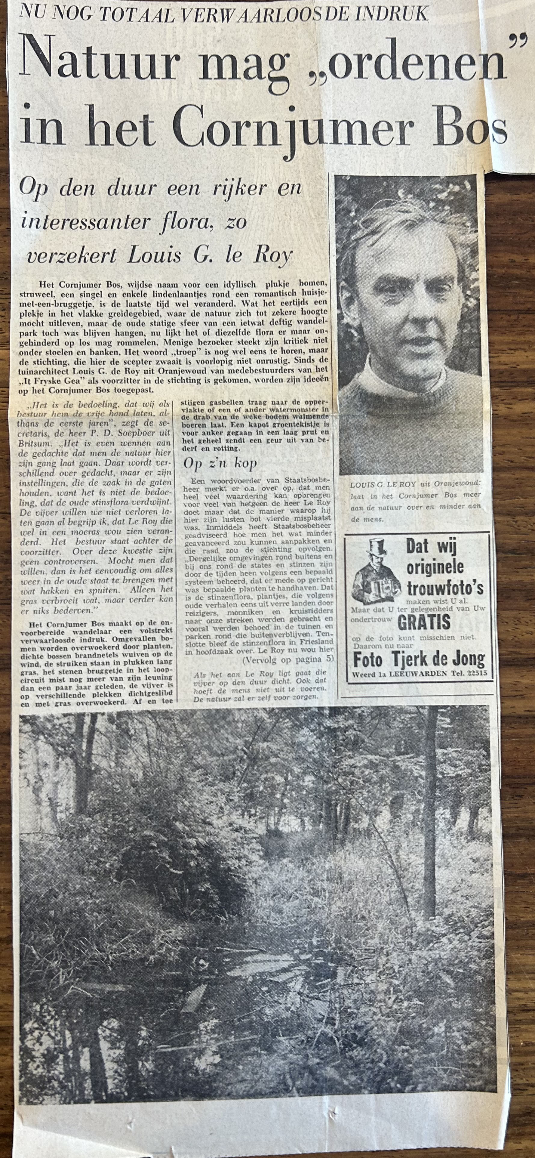 natuur mag ordenen in het cornjumer bos